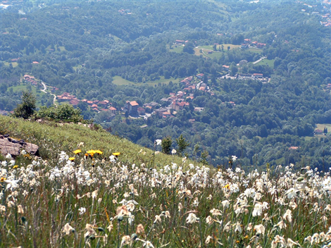 Panorama della Valle